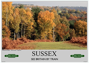 Heritage Rail Poster - Sussex - Bluebell Railway